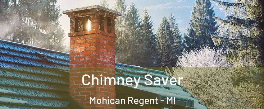 Chimney Saver Mohican Regent - MI