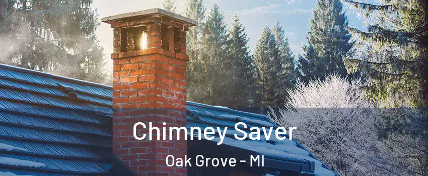 Chimney Saver Oak Grove - MI