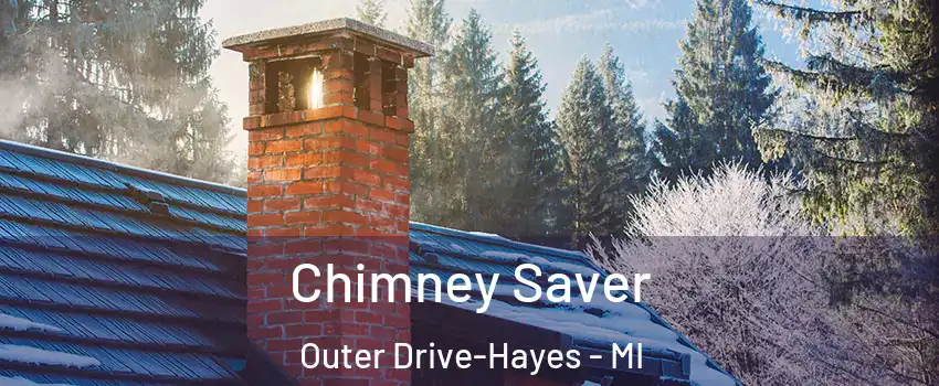 Chimney Saver Outer Drive-Hayes - MI