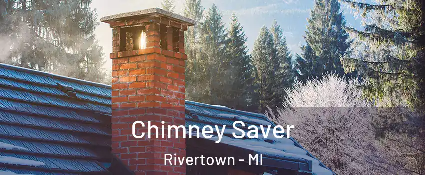 Chimney Saver Rivertown - MI