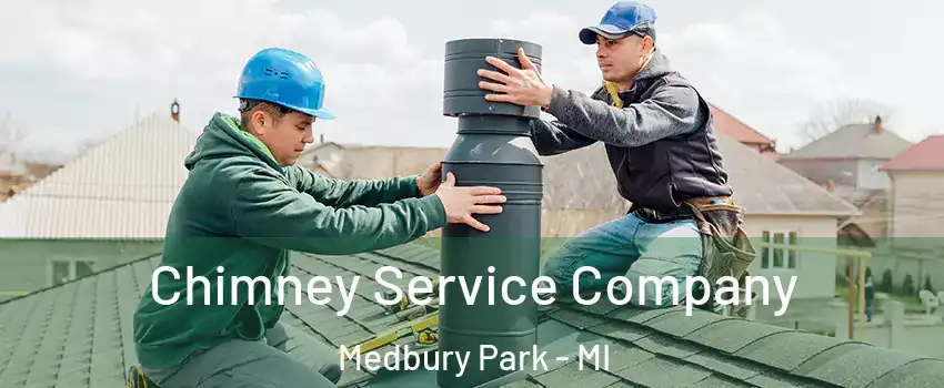 Chimney Service Company Medbury Park - MI