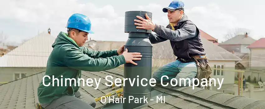 Chimney Service Company O'Hair Park - MI