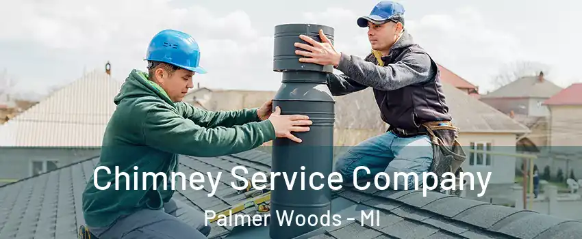 Chimney Service Company Palmer Woods - MI