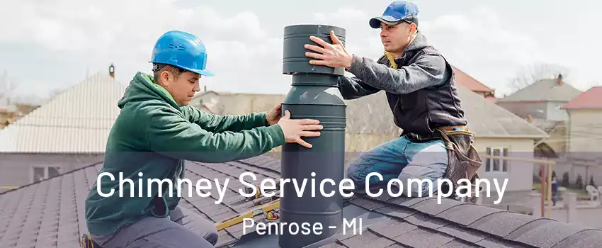 Chimney Service Company Penrose - MI