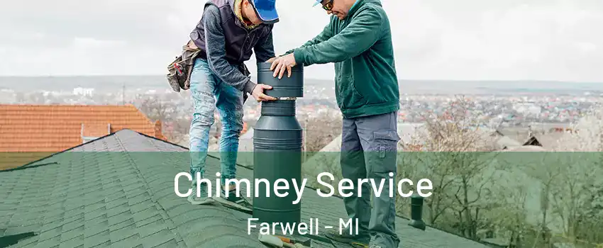 Chimney Service Farwell - MI