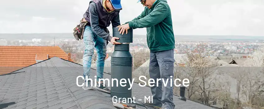 Chimney Service Grant - MI