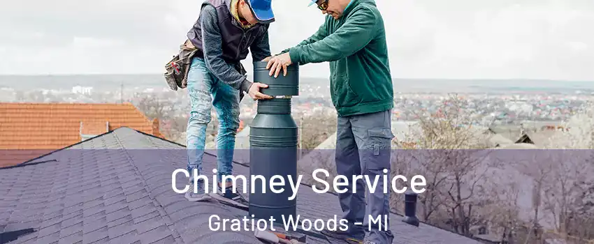 Chimney Service Gratiot Woods - MI