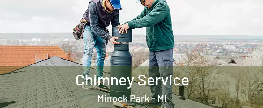 Chimney Service Minock Park - MI