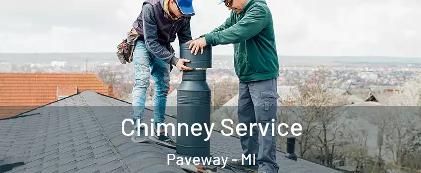 Chimney Service Paveway - MI