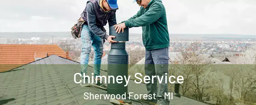 Chimney Service Sherwood Forest - MI