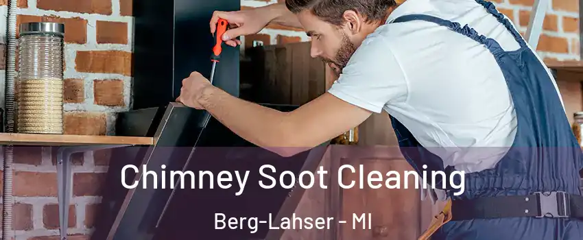 Chimney Soot Cleaning Berg-Lahser - MI