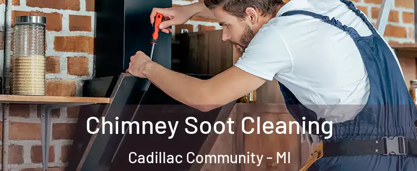 Chimney Soot Cleaning Cadillac Community - MI