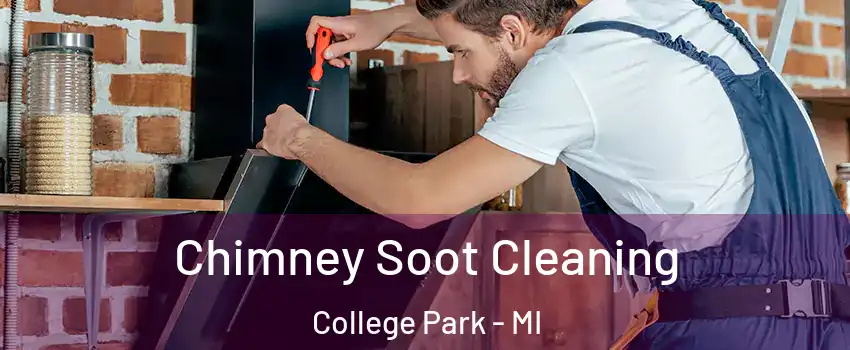 Chimney Soot Cleaning College Park - MI