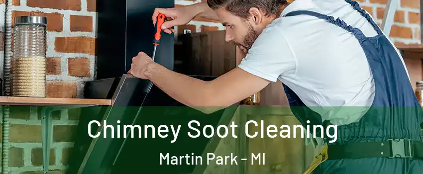 Chimney Soot Cleaning Martin Park - MI