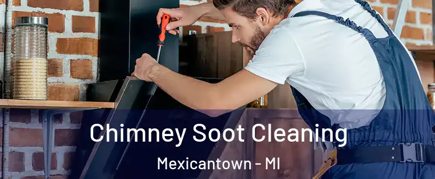 Chimney Soot Cleaning Mexicantown - MI