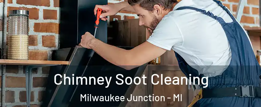 Chimney Soot Cleaning Milwaukee Junction - MI