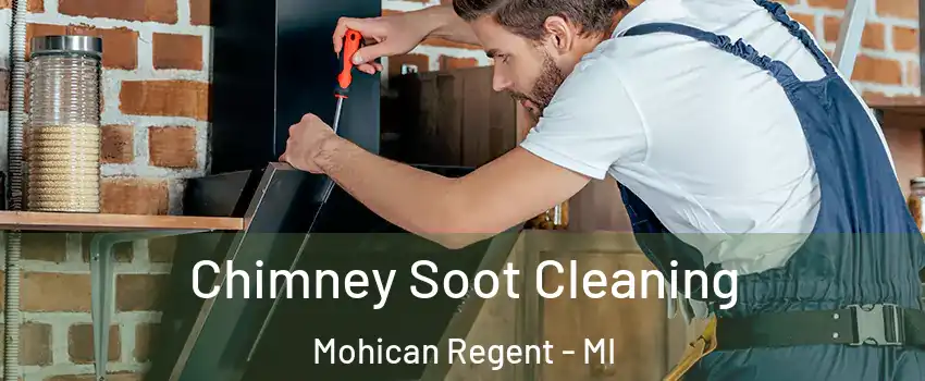 Chimney Soot Cleaning Mohican Regent - MI