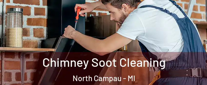 Chimney Soot Cleaning North Campau - MI