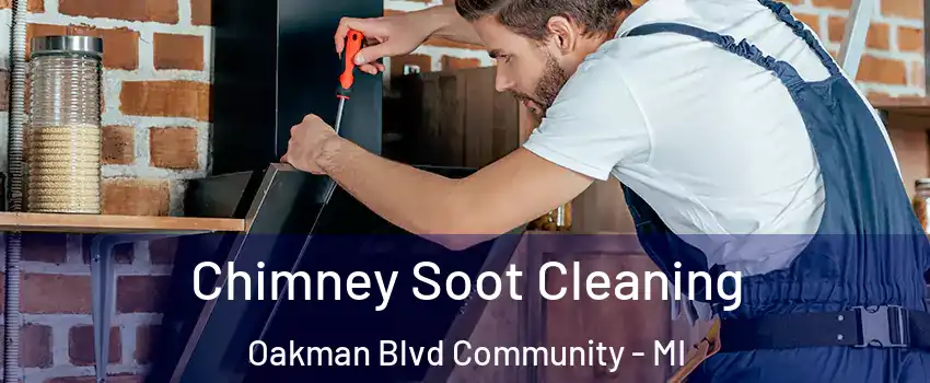 Chimney Soot Cleaning Oakman Blvd Community - MI