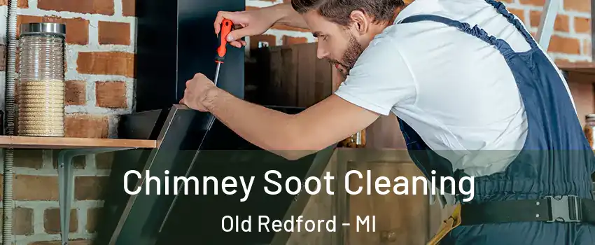 Chimney Soot Cleaning Old Redford - MI