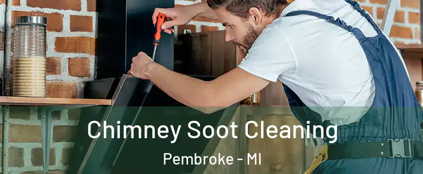 Chimney Soot Cleaning Pembroke - MI