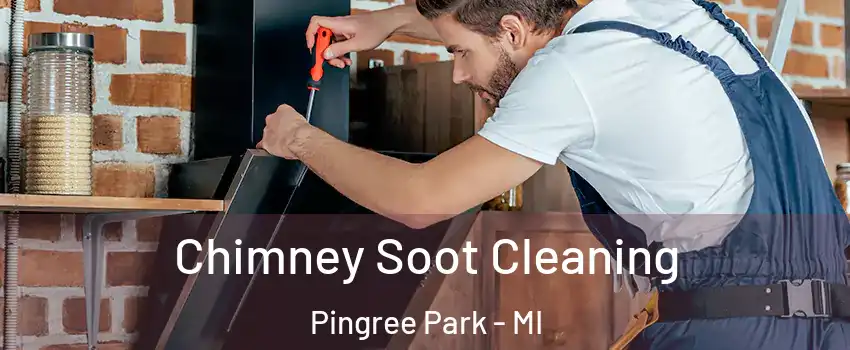 Chimney Soot Cleaning Pingree Park - MI