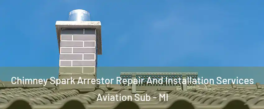 Chimney Spark Arrestor Repair And Installation Services Aviation Sub - MI