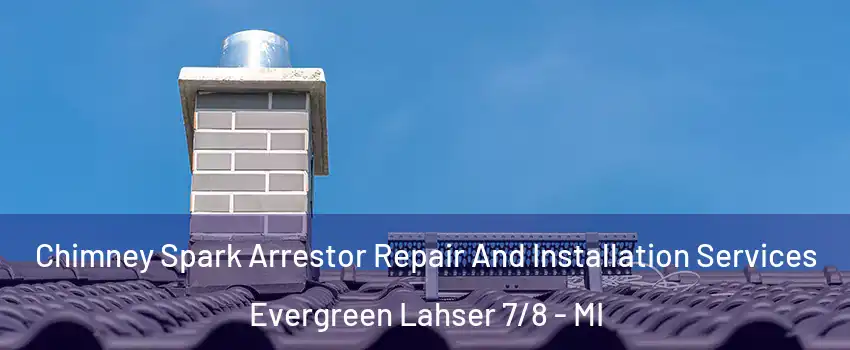 Chimney Spark Arrestor Repair And Installation Services Evergreen Lahser 7/8 - MI