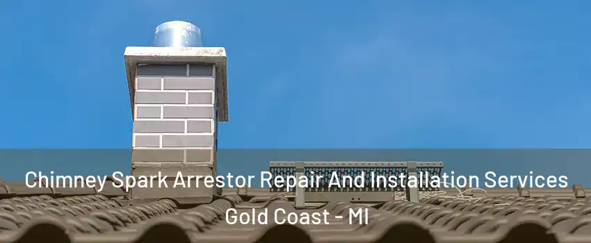 Chimney Spark Arrestor Repair And Installation Services Gold Coast - MI