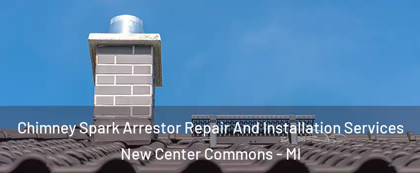 Chimney Spark Arrestor Repair And Installation Services New Center Commons - MI