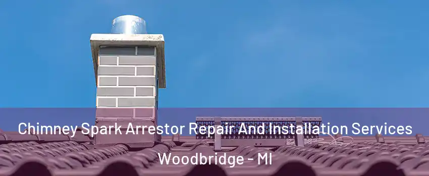 Chimney Spark Arrestor Repair And Installation Services Woodbridge - MI