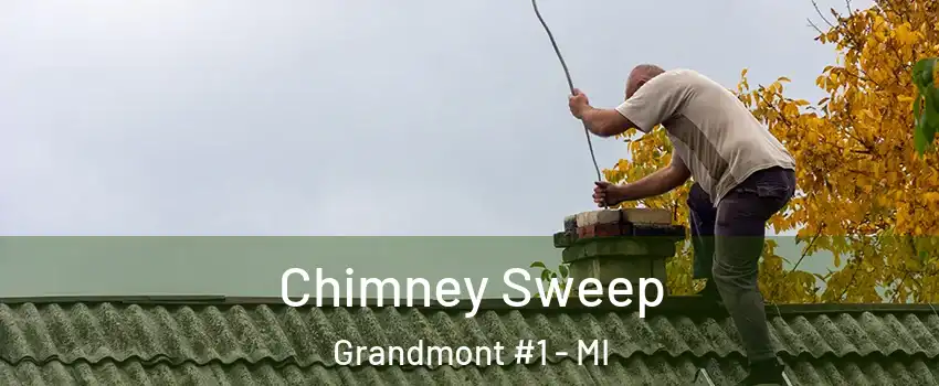 Chimney Sweep Grandmont #1 - MI