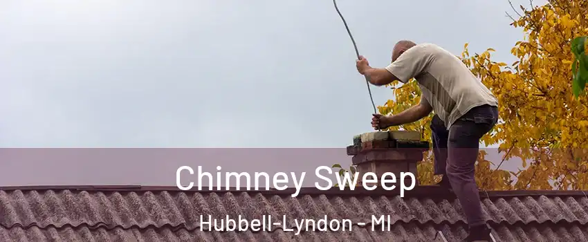 Chimney Sweep Hubbell-Lyndon - MI