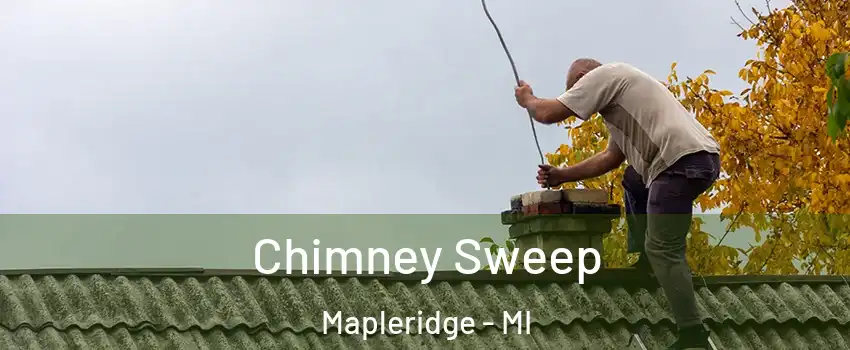 Chimney Sweep Mapleridge - MI