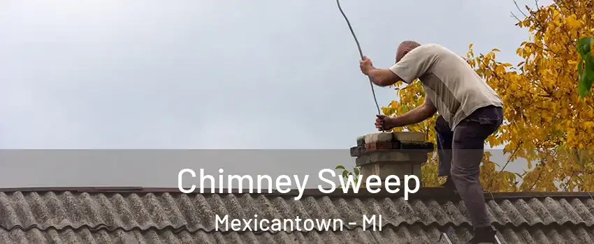 Chimney Sweep Mexicantown - MI