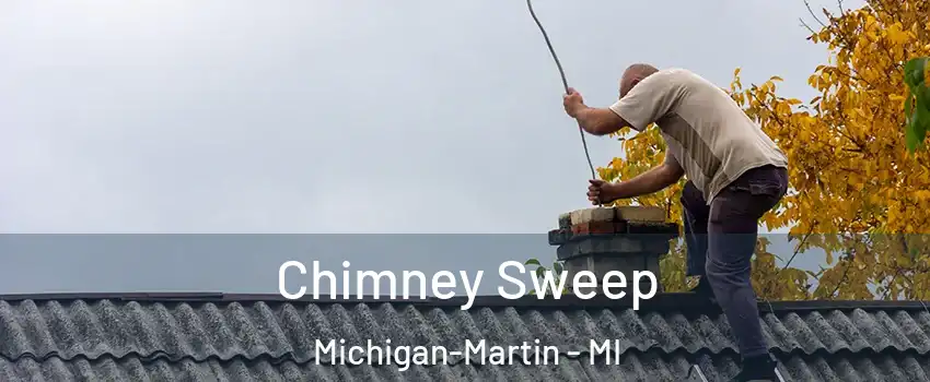 Chimney Sweep Michigan-Martin - MI