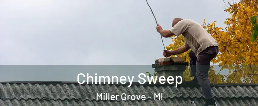 Chimney Sweep Miller Grove - MI