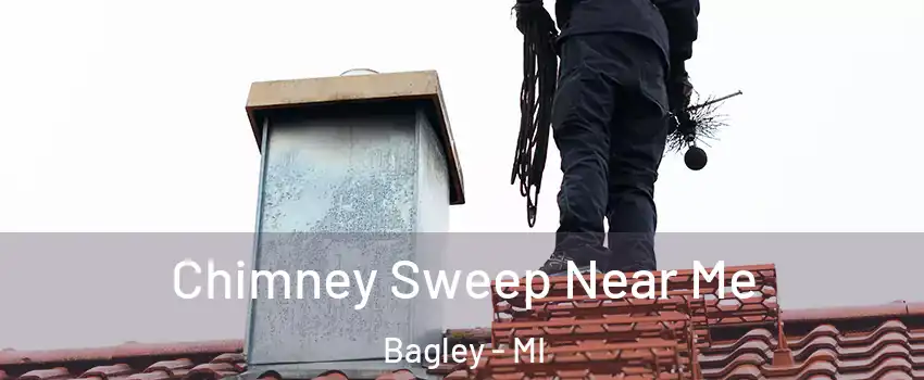 Chimney Sweep Near Me Bagley - MI