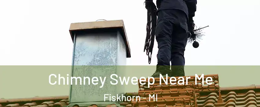 Chimney Sweep Near Me Fiskhorn - MI