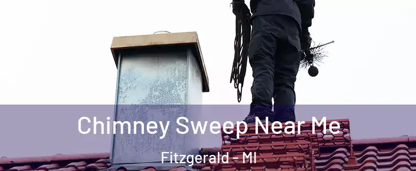 Chimney Sweep Near Me Fitzgerald - MI