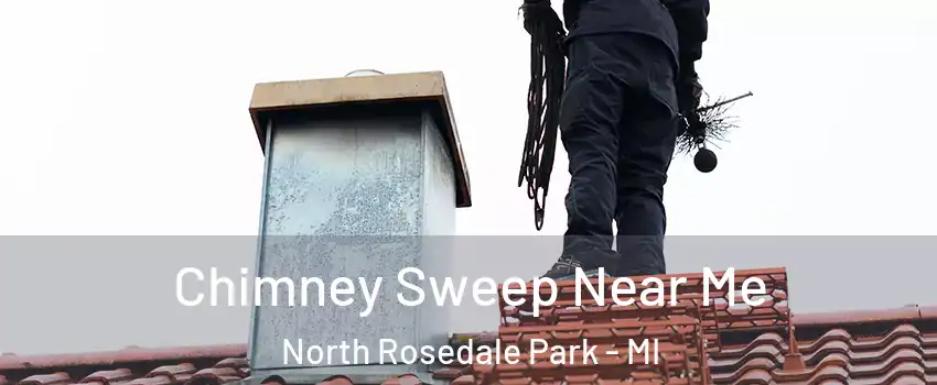 Chimney Sweep Near Me North Rosedale Park - MI