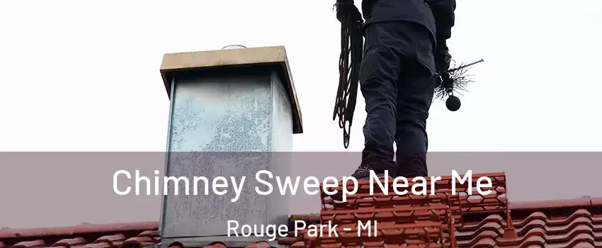 Chimney Sweep Near Me Rouge Park - MI