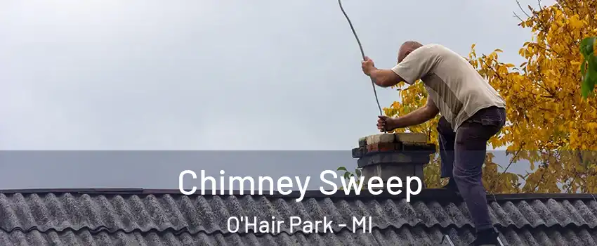 Chimney Sweep O'Hair Park - MI