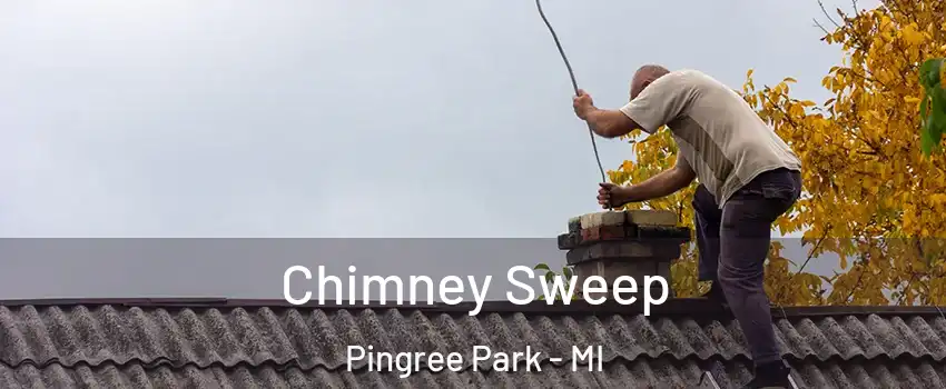 Chimney Sweep Pingree Park - MI