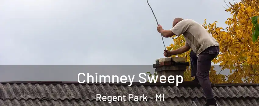 Chimney Sweep Regent Park - MI