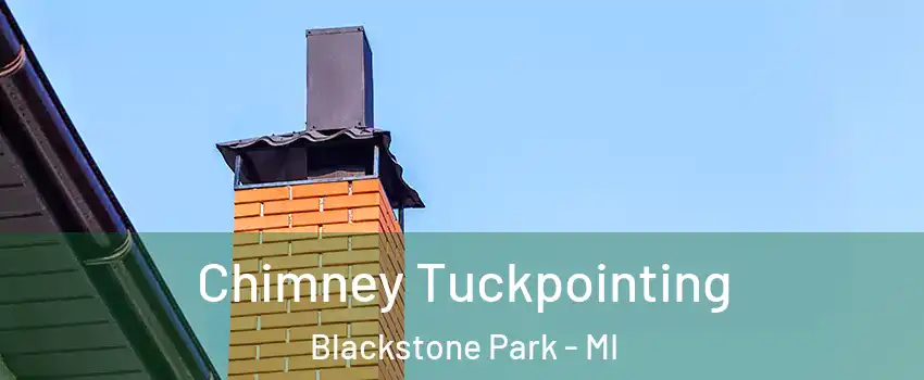 Chimney Tuckpointing Blackstone Park - MI