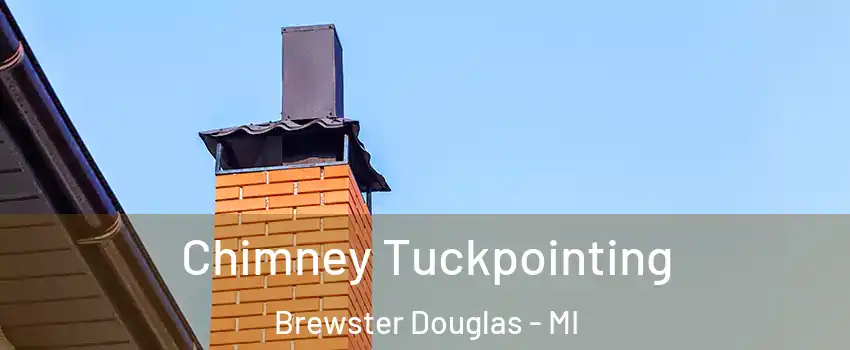 Chimney Tuckpointing Brewster Douglas - MI