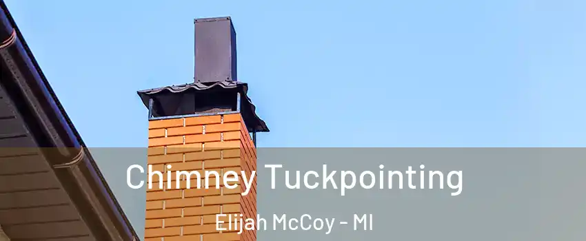 Chimney Tuckpointing Elijah McCoy - MI