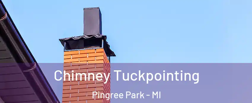 Chimney Tuckpointing Pingree Park - MI