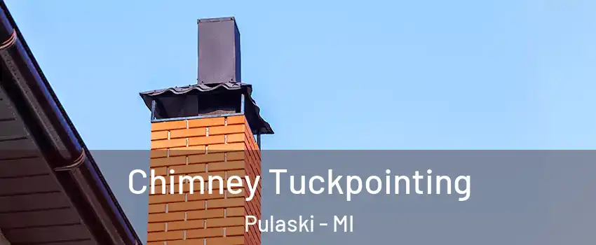 Chimney Tuckpointing Pulaski - MI